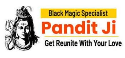 love marriage solution astrologer