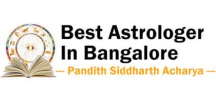 shani mahadasha pooja astrologer